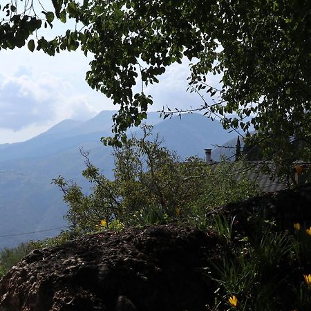 Μικρή Ζήρεια Ενοικιαζόμενη Κατοικία Synikia Mesi Trikalon Buitenkant foto