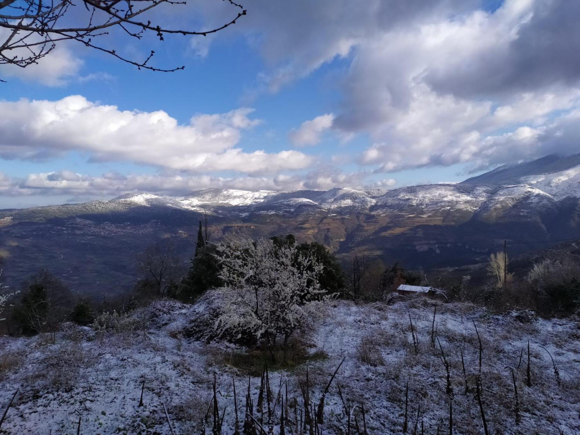 Μικρή Ζήρεια Ενοικιαζόμενη Κατοικία Synikia Mesi Trikalon Buitenkant foto