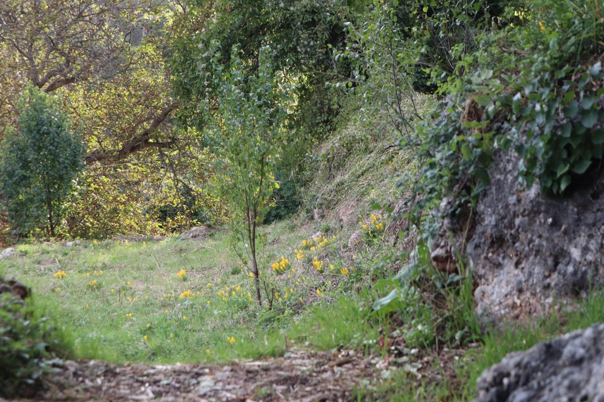Μικρή Ζήρεια Ενοικιαζόμενη Κατοικία Synikia Mesi Trikalon Buitenkant foto