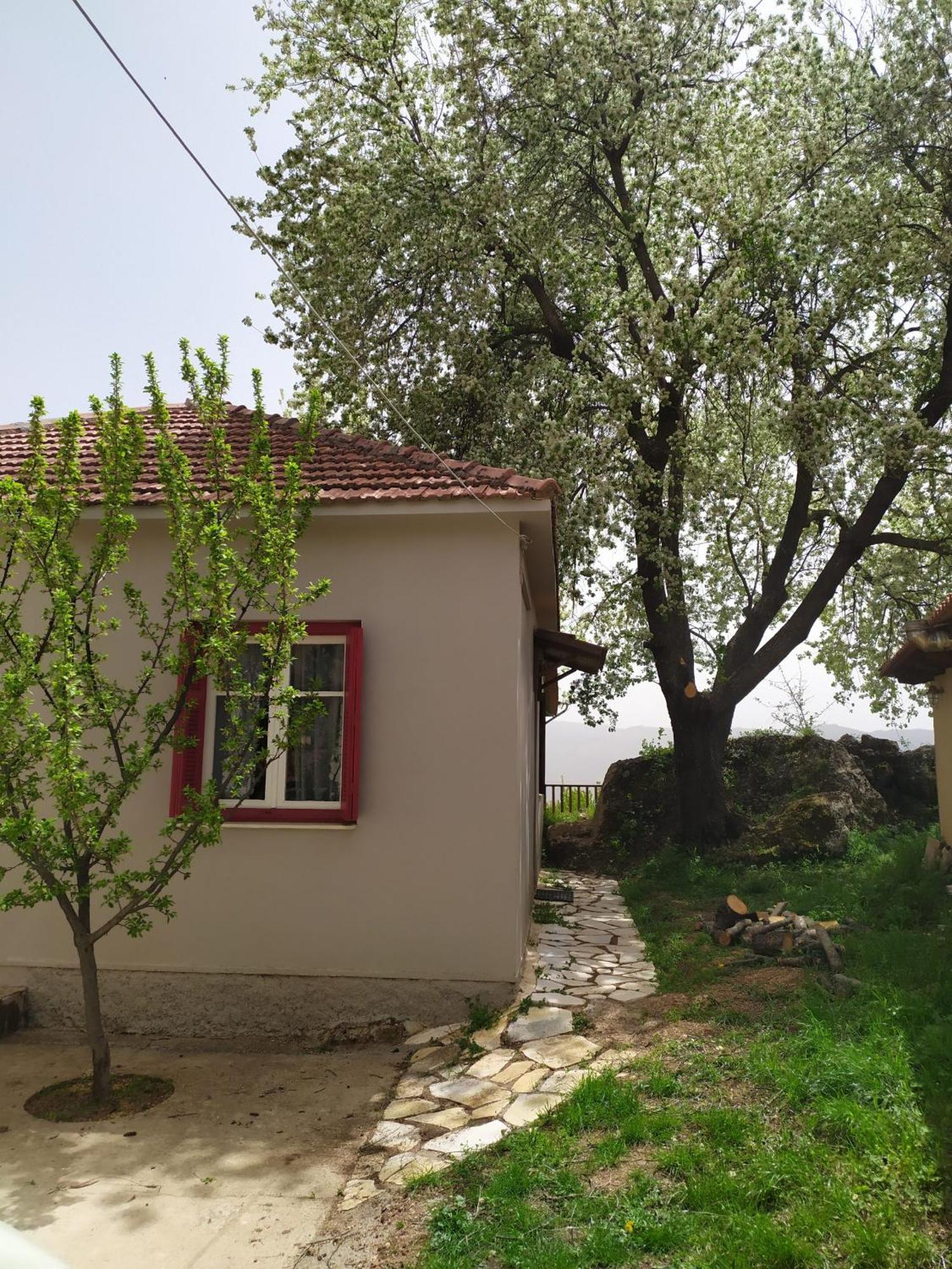 Μικρή Ζήρεια Ενοικιαζόμενη Κατοικία Synikia Mesi Trikalon Buitenkant foto